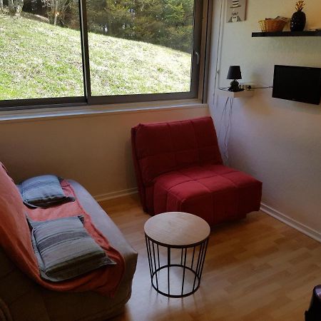 Piste verte Appartement Besse-et-Saint-Anastaise Buitenkant foto