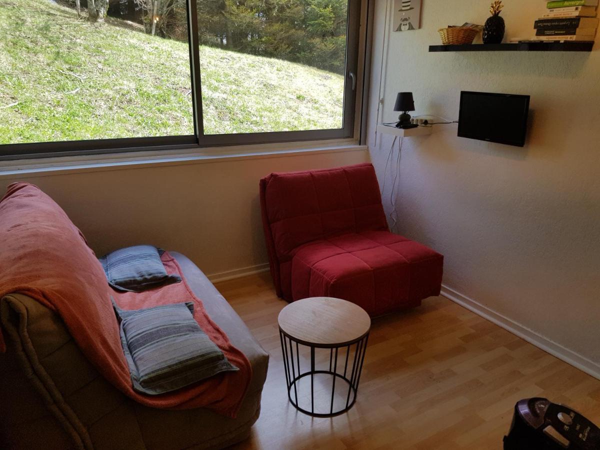 Piste verte Appartement Besse-et-Saint-Anastaise Buitenkant foto